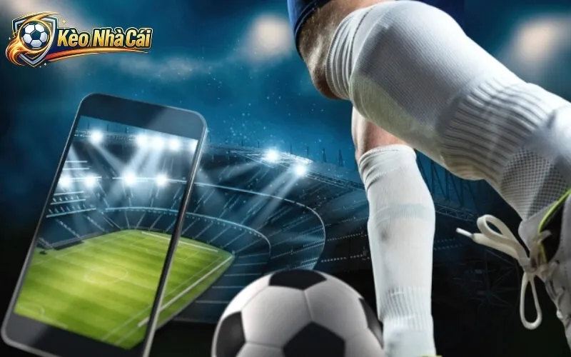 Hướng dẫn cách đọc bảng tỷ lệ kèo nhà cái chuẩn xác